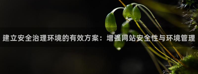 凯发网娱乐官网登录