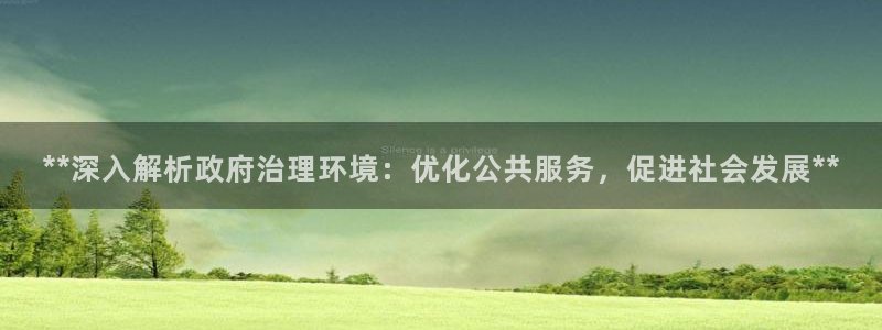 凯发k8全球最大的娱乐平台：**深入解析政府治理环境：优化公共服务，促进社会发展