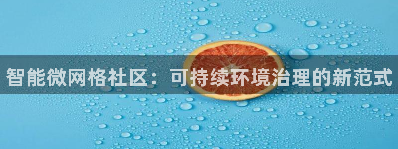 凯发k8官网下载客户端中心|智能微网格社区：可持续环境治理的新范式