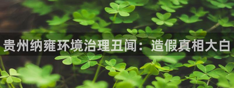 凯发k8官方旗舰店app|贵州纳雍环境治理丑闻：造假真相大白